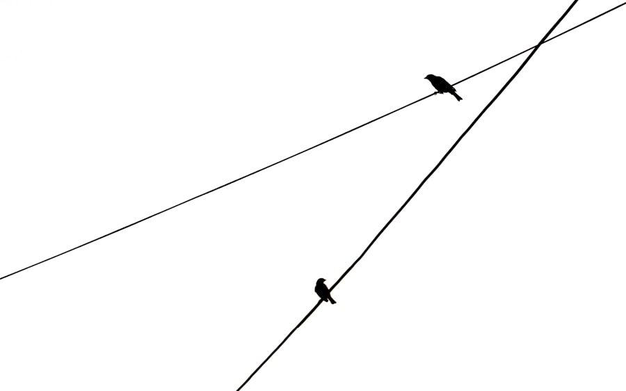Blockchain diagram