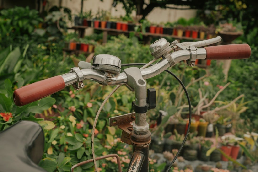 Photo Nasal irrigation