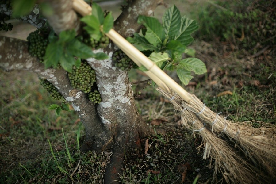 Photo Nasal irrigation