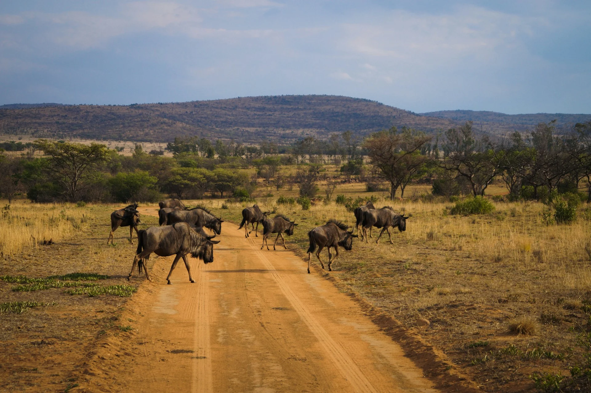 Hidden Gems: Solo Travel in Africa's Offbeat Spots